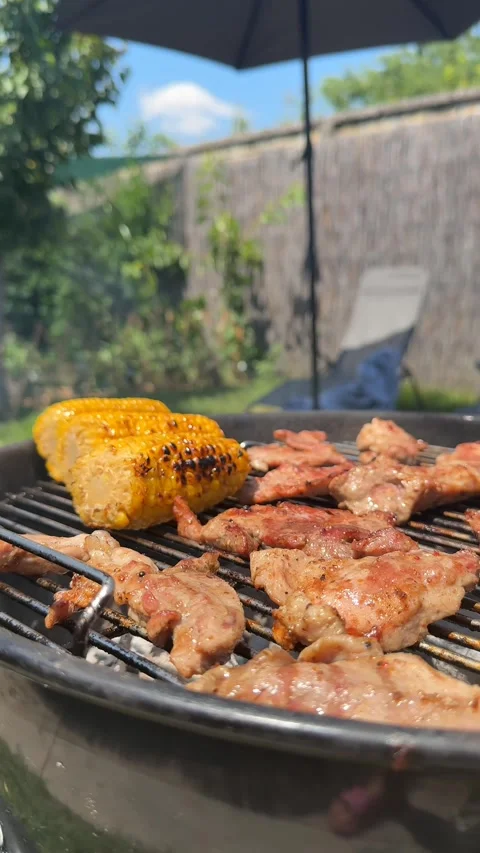 Summer Barbecue Feast Stock Footage 311658024