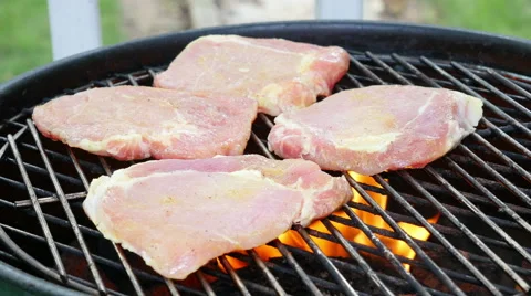 Summer Barbecue Stock Footage 51827947