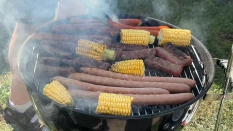 Summer Barbecue Grill Stock Footage 313655949
