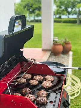 Summer barbeque cooking 库存照片