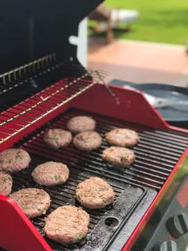 Summer barbeque cooking Foto stock