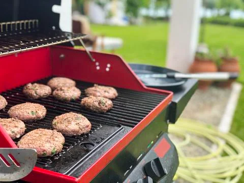 Summer barbeque cooking Stock Photos