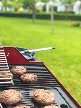 Summer barbeque cooking Stock Photos