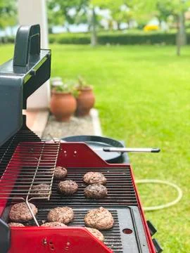 Summer barbeque cooking 库存照片
