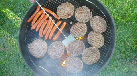 Summer BBQ 1 Stock-Footage 856644