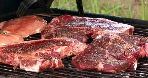 Summer bbq backyard grill barbecue food cooking meal garden family Stock Footage 336576152