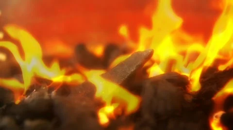 Summer BBQ Video stock 490288