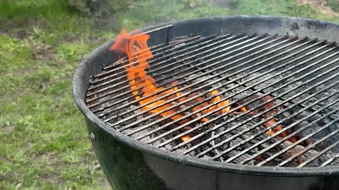 Summer BBQ Grill Flames Stock Footage 306919464