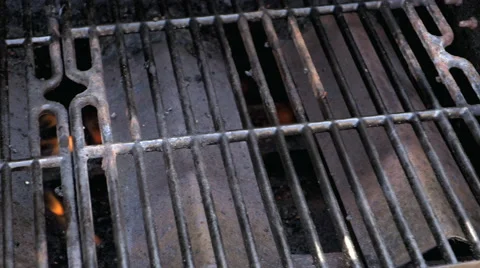 Summer BBQ Time Stock Footage 51666596