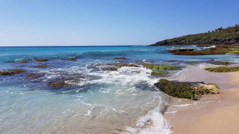 Summer beach with algae rocks Stockfoto's