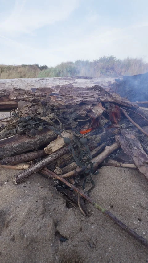 Summer Beach Fire In Weston, England, UK - Vertical Stock Footage 344210388