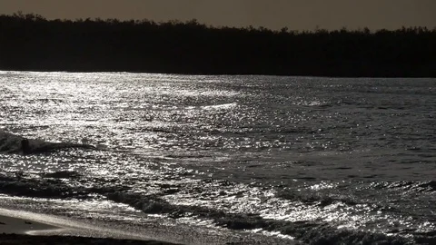 Summer beach 스톡 동영상 95763828