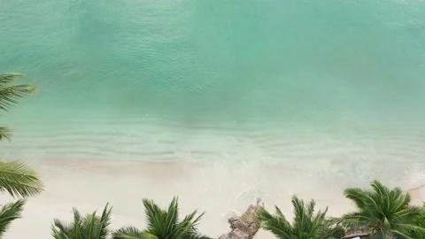 Summer on the beach Video stock 146005288