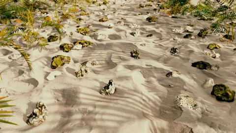 Summer On The Beach Stock Footage 154780786