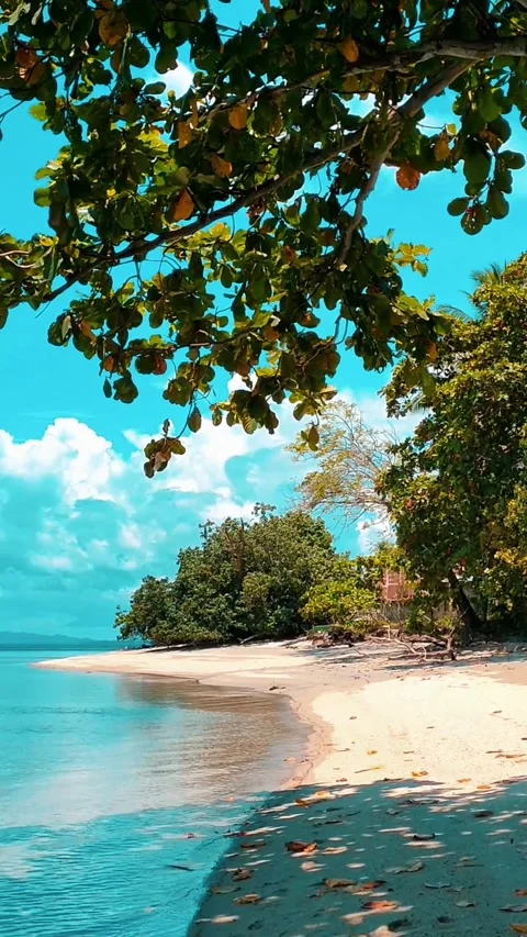 Summer Beach Stock Footage 287083265