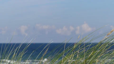 Summer beach grass in foreground - ocean &amp; cloudy sky in the background Stock Footage 138679493