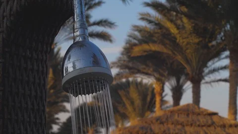 Summer Beach Head Shower Splashes Water On A Background Of Palm Trees Stock Footage 121702705