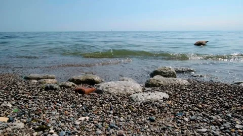 Summer Beach Horizon with Small Waves Calm Nature Video Stock Footage 331945102