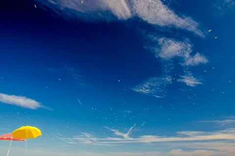 Summer on the beach Stock Photos