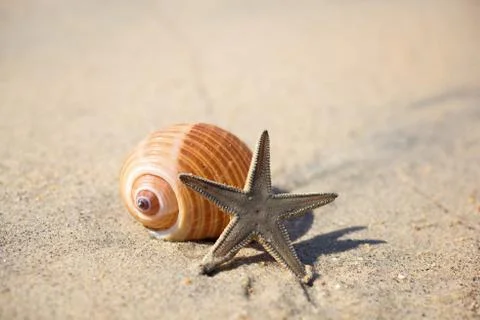 Summer on the beach Stock Photos