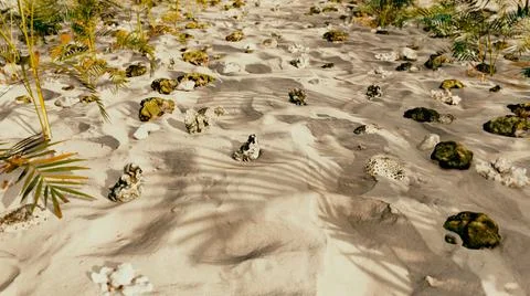 Summer On The Beach Foto stock