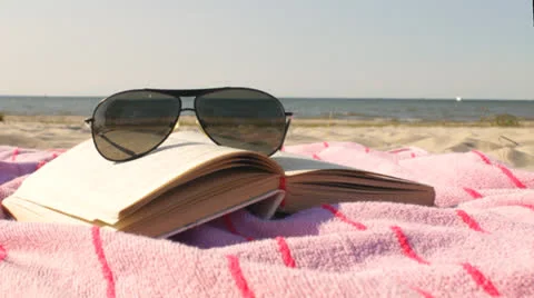 Summer Beach Reading Stock Footage 25810001