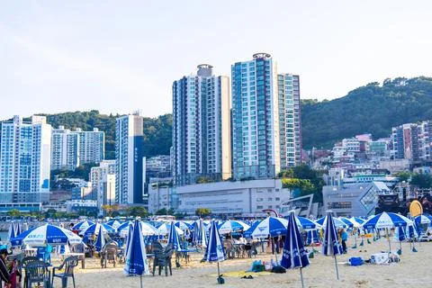 Summer Beach Scene with Rows of Umbrellas and Urban Skyline at Songdo Beach.. Stock Photos