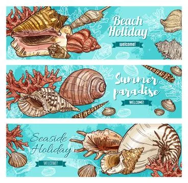 Summer beach shells, corals and mollusks Stock Illustration