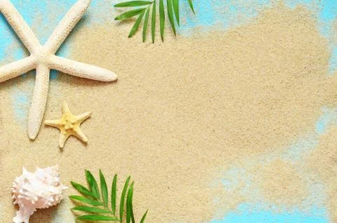 Summer beach. Starfish and seashell on the sand. Stock Photos