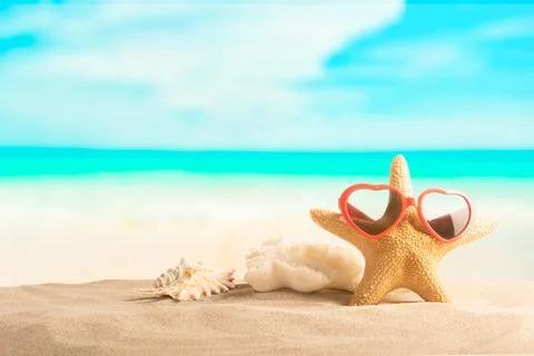 Summer beach with starfish and shells. Background sea. Stock Photos
