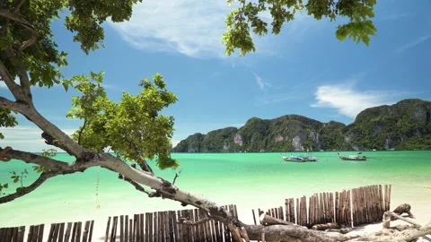 Summer beach view at Phi Phi Islands, a popular tour destination holiday Stock Footage 153505739