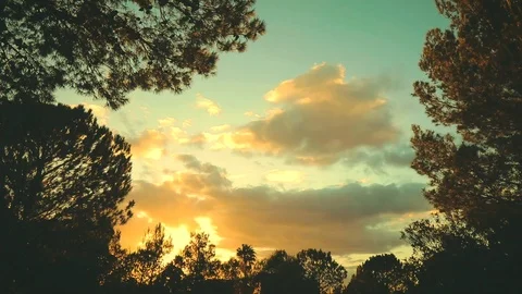 Summer Beautiful Sunset Clouds Forest Trees Timelapse Stock Footage 87697527