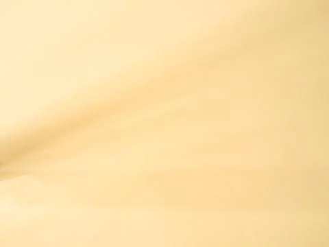 Summer Begie Background Shadow Texture Leaf Summer Autumn Wall Light Stock-Fotos