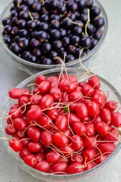 Summer berries background Stock Photos