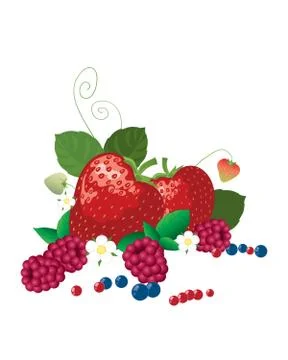 Summer berries Stock Illustration