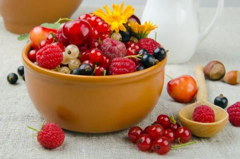 Summer berries Stock Photos