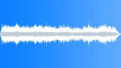 Summer Bird Thieves Stock Music