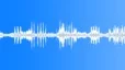Summer birds and crows Sound Effect
