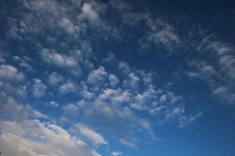 Summer blue sky cloud gradient light white background. Beauty clear cloudy .. 스톡 사진
