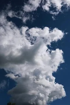 Summer blue sky cloud gradient light white background. Beauty clear cloudy .. 스톡 사진