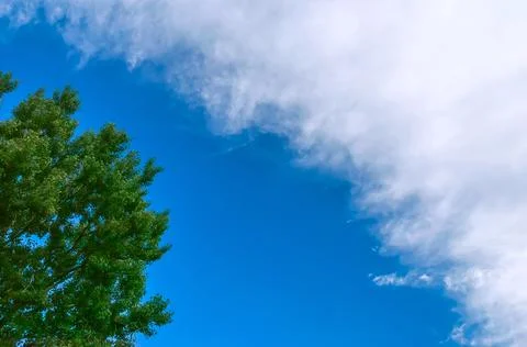 Summer Blue Sky Cloudscape Stock Photos