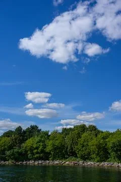 Summer blue sky, floating clouds, and treetops Stock Photos