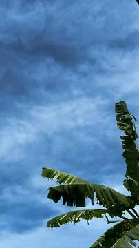 Summer blue sky Foto stock