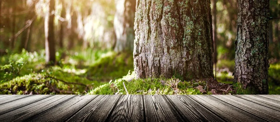 Summer blur background Stock Photos