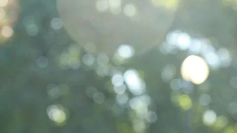 Summer blurred abstract background with nature bokeh. Stock Footage 129501341