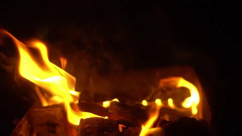 Summer bonfire Stock Footage 221649774