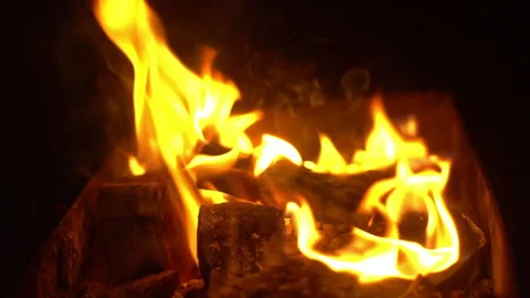 Summer bonfire Stock Footage 221649789