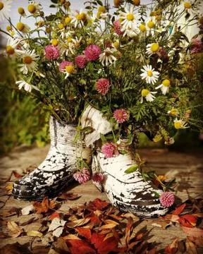 Summer in boots. Stock Photos