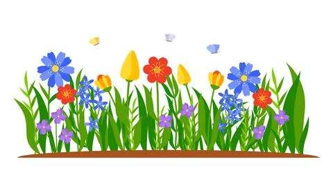 Summer border flower bed grass landscape vector Stock Illustration