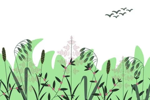 Summer botanical background Stock Illustration